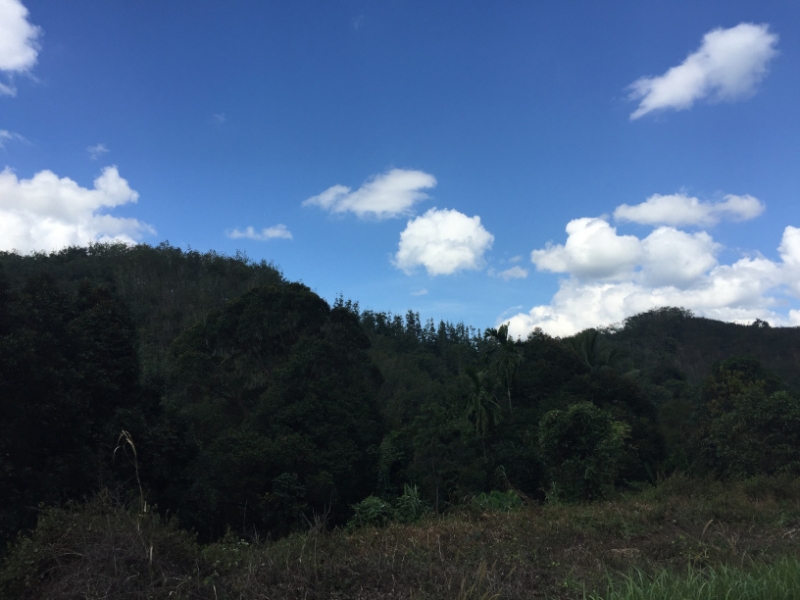 5050 5-1-19 view