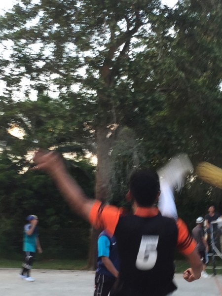 5059 5-1-19 ball game