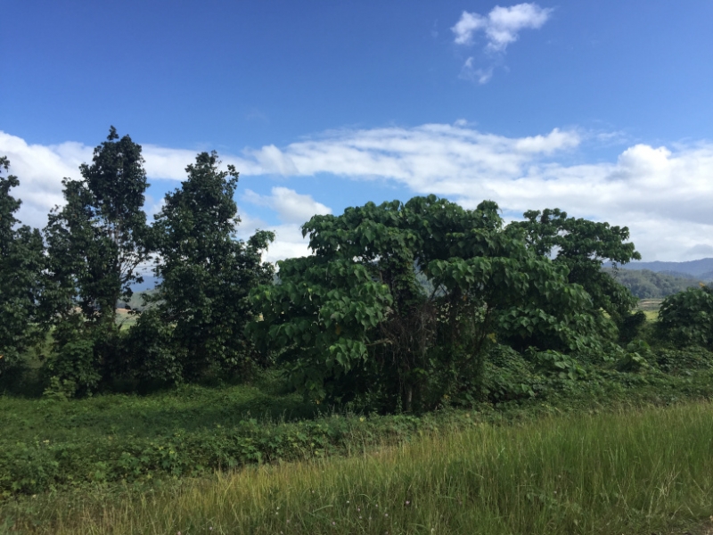 5068 7-1-19 view