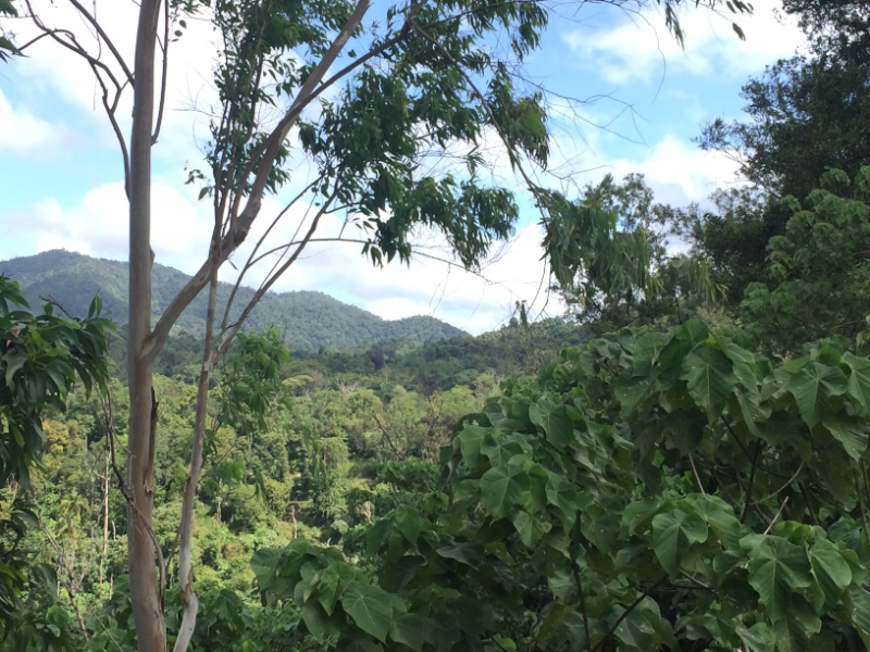 5070 7-1-19 view