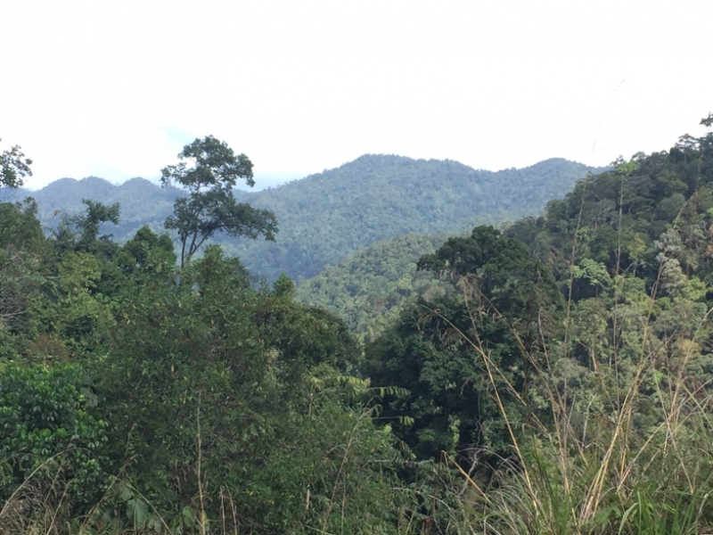 5073 7-1-19 view