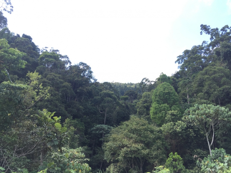 5074 7-1-19 view