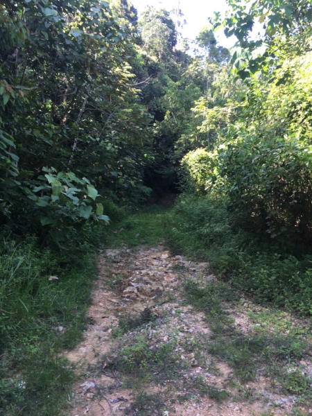 5080 7-1-19 path
