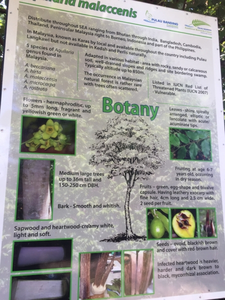 5081 7-1-19 info board