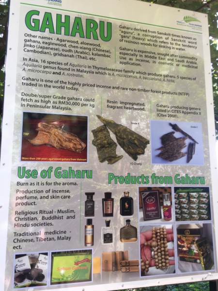 5082 7-1-19 info board