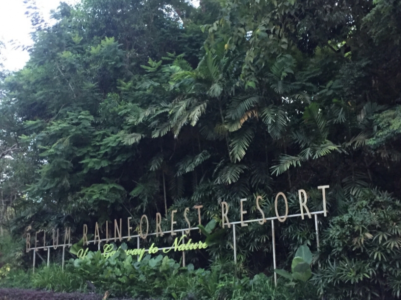 5093 7-1-19 Belum Forest