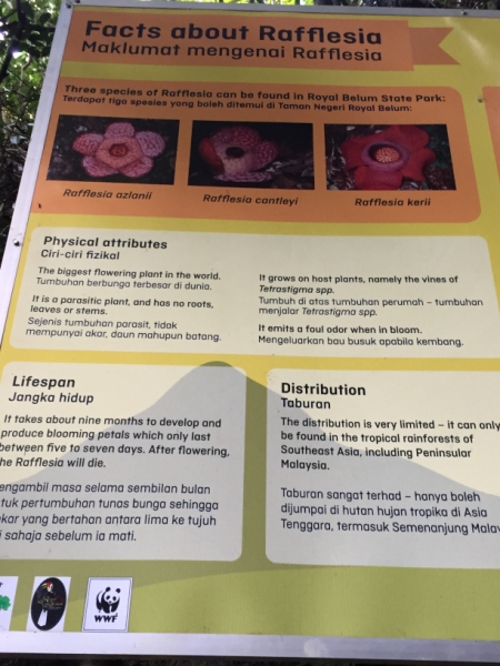 5110 8-1-19 info board