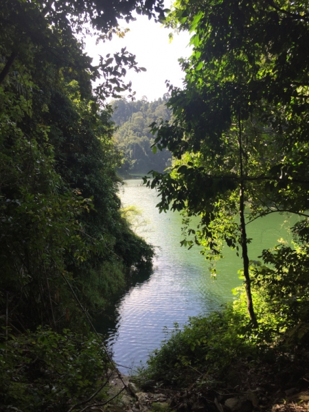 5117 8-1-19  view