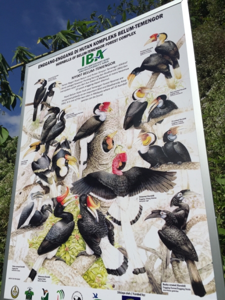 5118 8-1-19  info board
