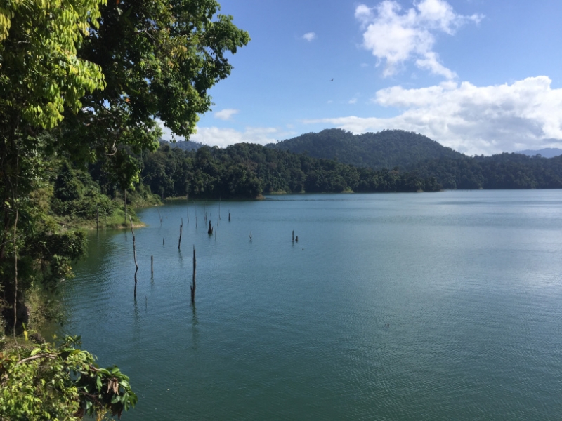 5130 8-1-19 lake view