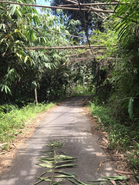 5141 8-1-19  path
