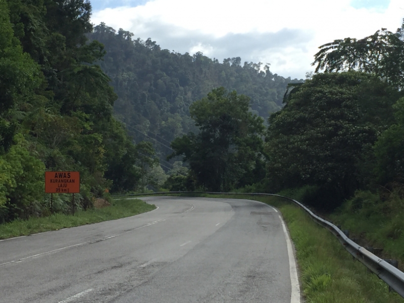 5167 8-1-19  road