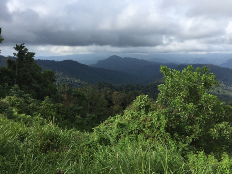 5170 8-1-19  view