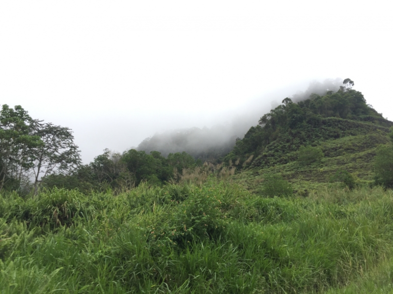 5173 8-1-19  Cloud top