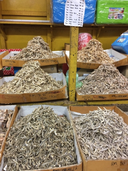 5240  11-1-19 fish