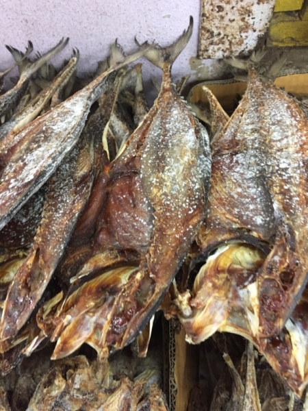 5243  11-1-19 fish