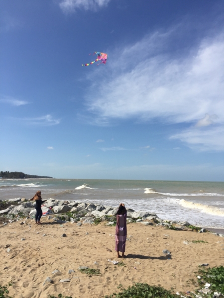 5256  11-1-19 kite