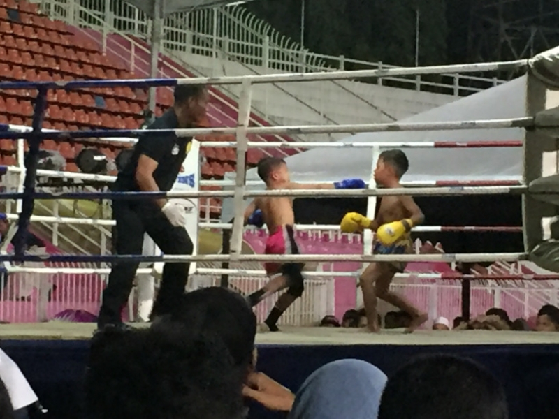 5301  12-1-19 boxing