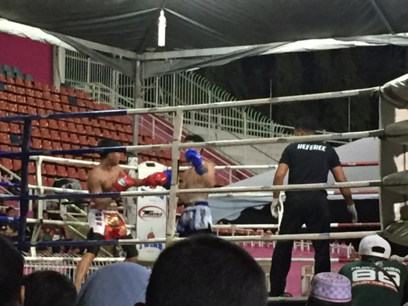 5304  12-1-19 boxing