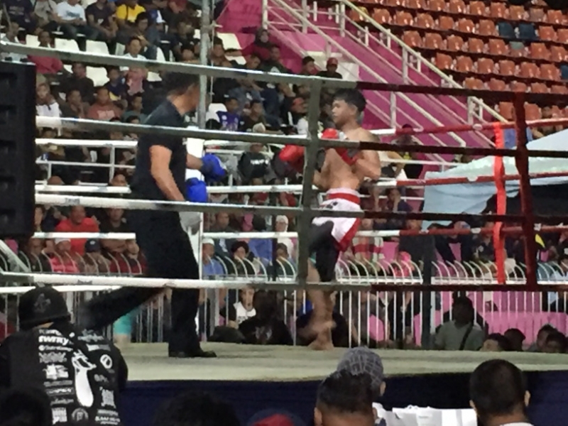 5307  12-1-19 boxing