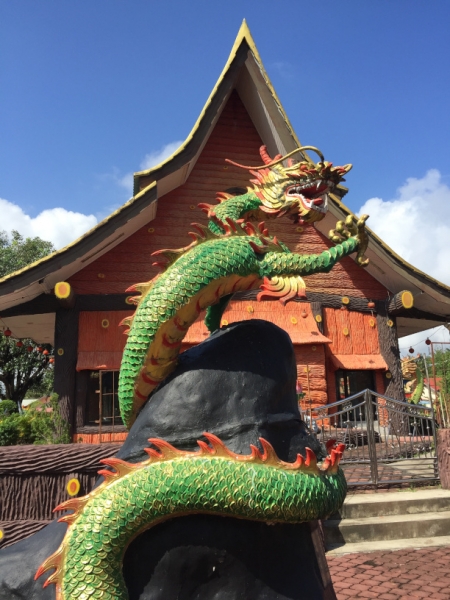 5336  14-1-19 dragon