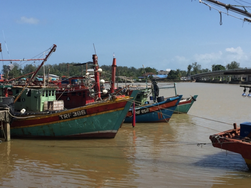 5343  14-1-19 boats