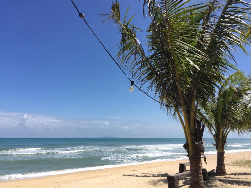 5356  15-1-19 beach