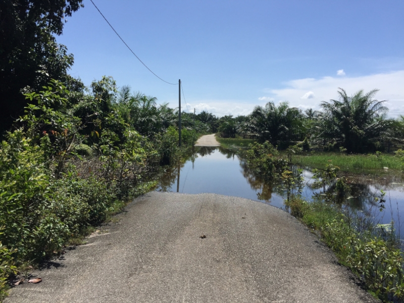 5358  15-1-19 flooded road