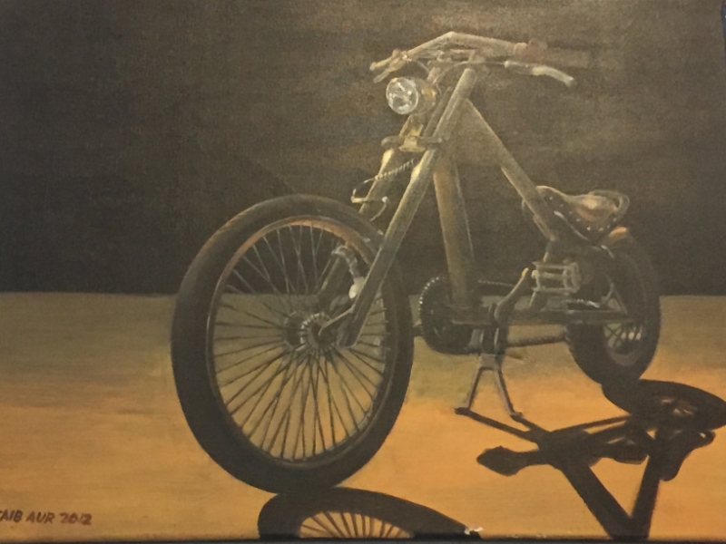 5423 17-1-19  bike art