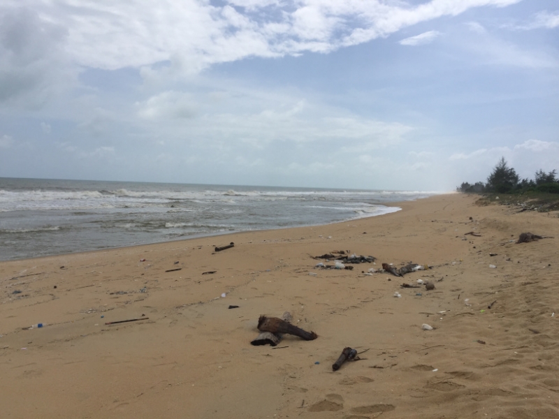 5460 20-1-19 beach