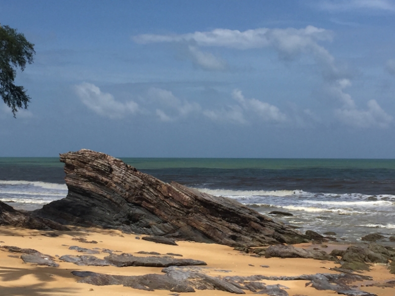 5464 20-1-19 beach