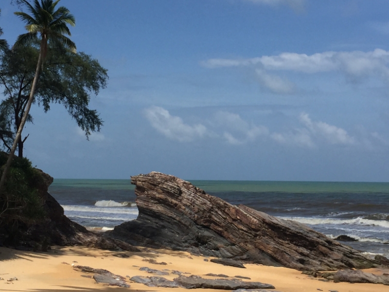 5465 20-1-19 beach