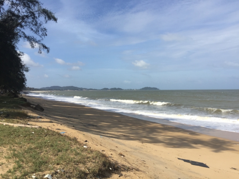 5466 20-1-19 beach