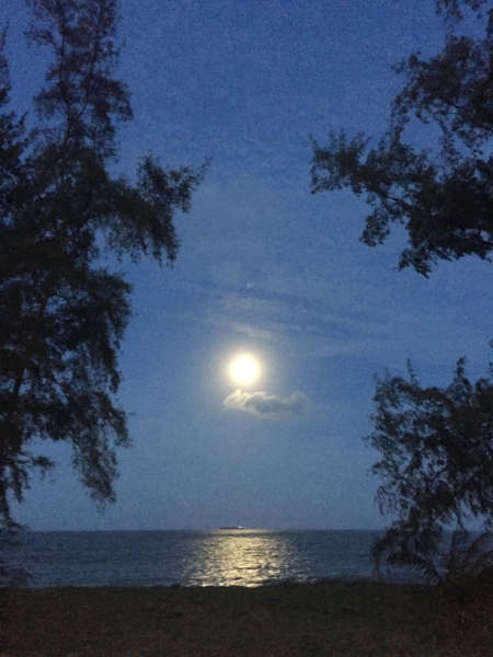 5473 20-1-19 moon