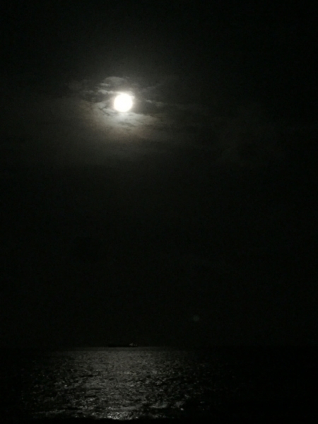 5477 20-1-19 moon