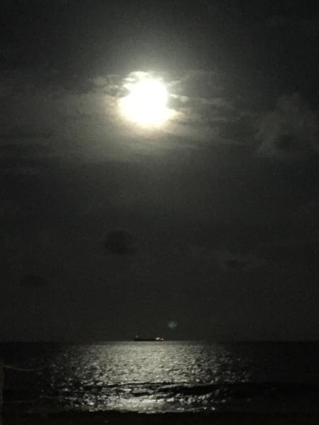 5478 20-1-19 moon
