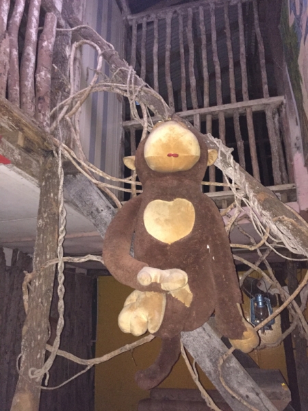 5508 23-1-19 toy monkey