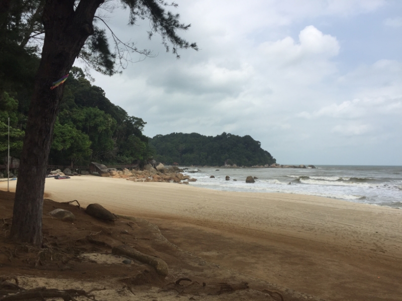 5545 25-1-19 beach