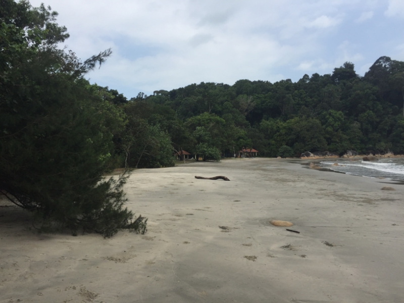 5546 25-1-19 beach
