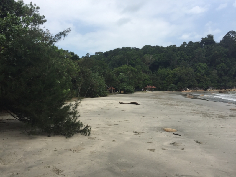 5547 25-1-19 beach