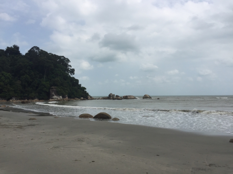 5548 25-1-19 beach