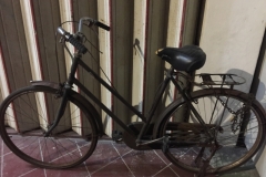 5031 3-1-19 Bike