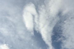5039 4-1-19 cloud