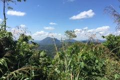5047 5-1-19 view
