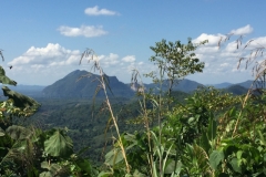 5048 5-1-19 view