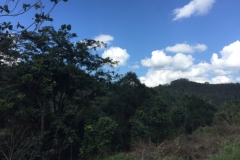 5049 5-1-19 view