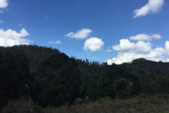 5050 5-1-19 view