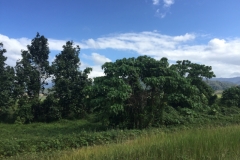 5068 7-1-19 view