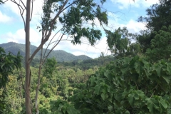5070 7-1-19 view