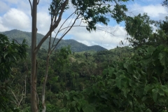 5071 7-1-19 view